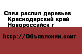 Спил распил деревьев - Краснодарский край, Новороссийск г.  »    